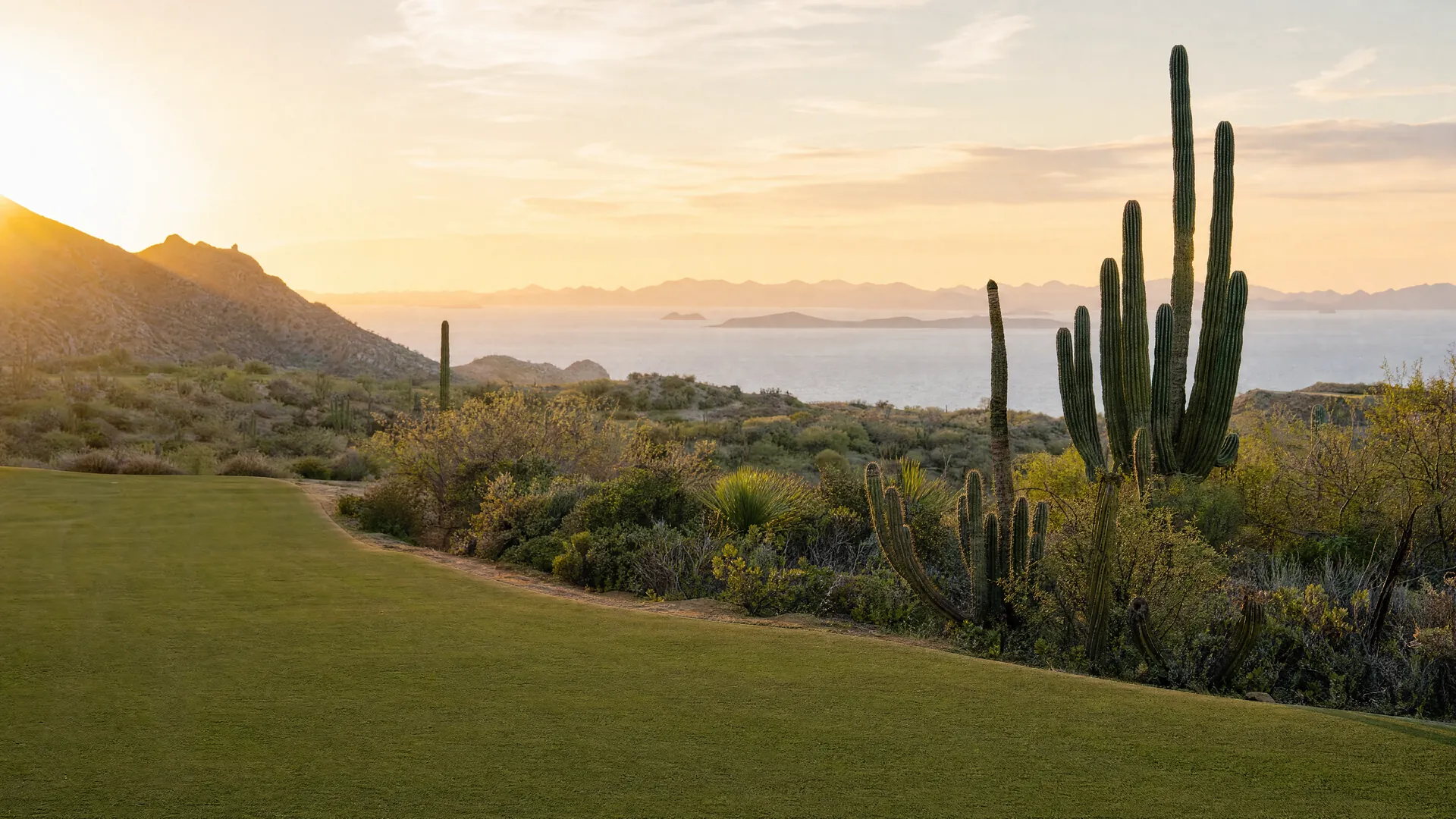 A green fairway edge meeting desert scrub and cacti at golden hour