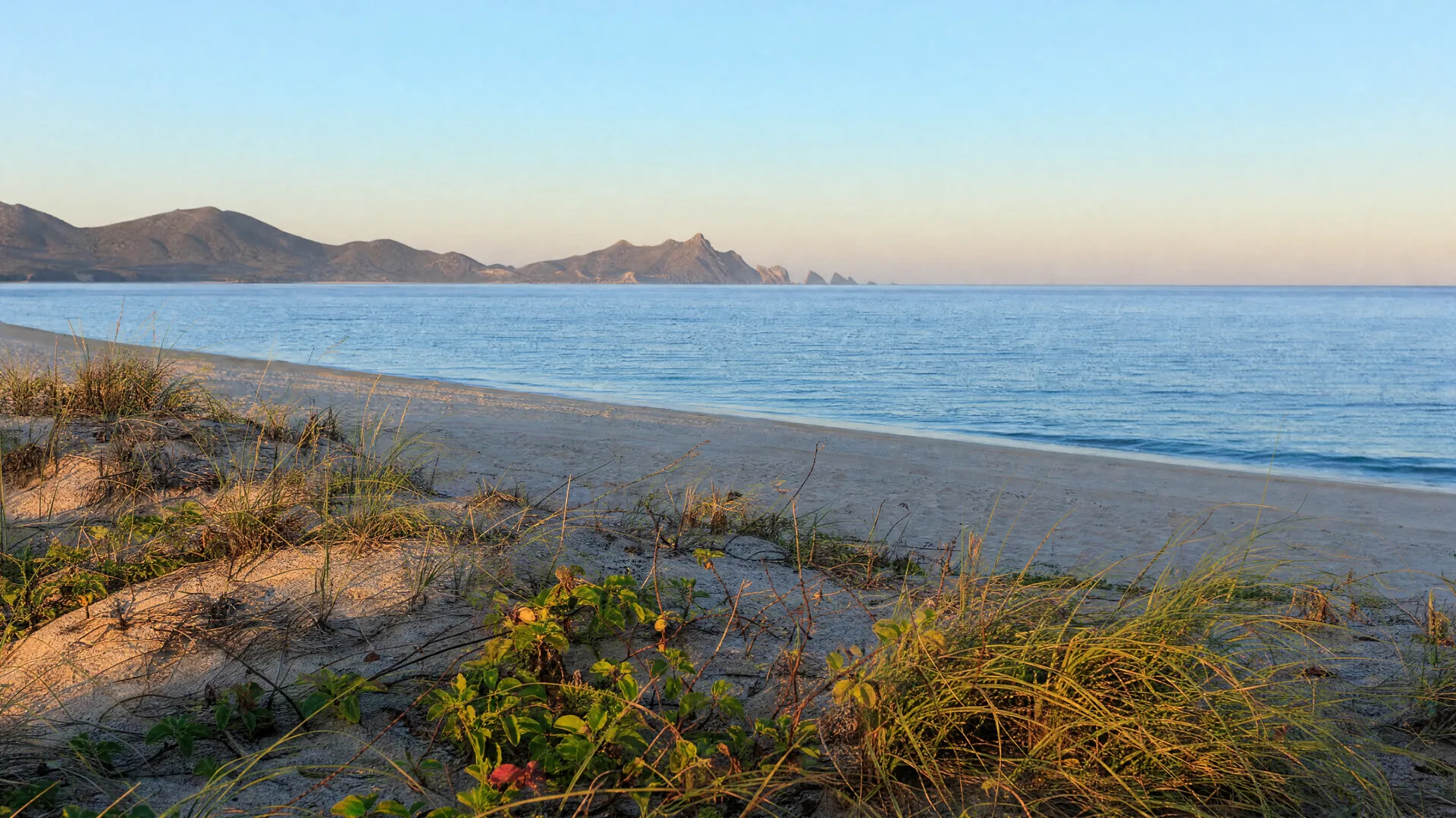 The Sea of Cortez at early morning, seen from a low dune near San José del Cabo