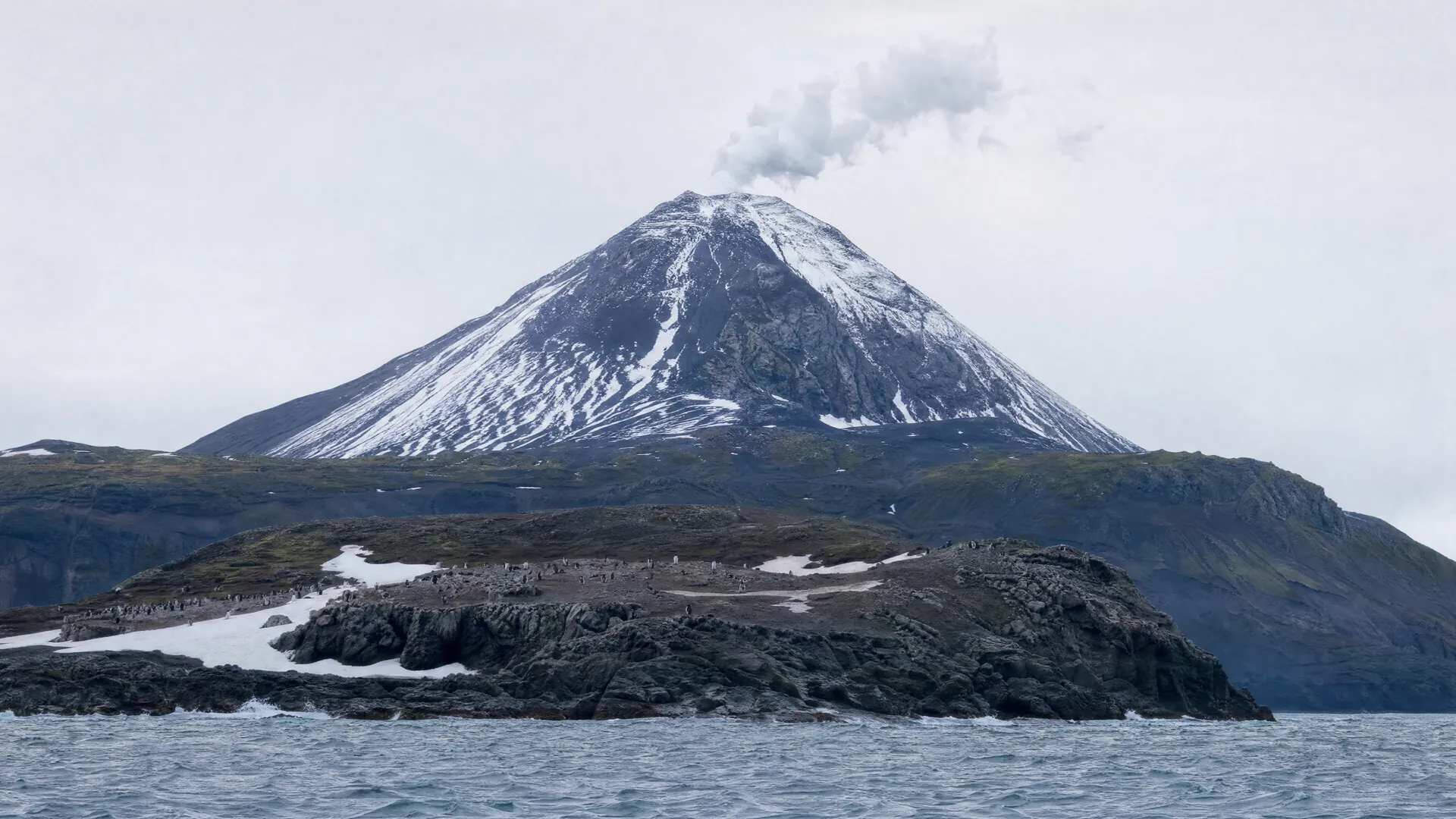 A snow-streaked volcanic island steaming under gray skies, with scattered penguins on sparse rocky slopes above a cold ocean.