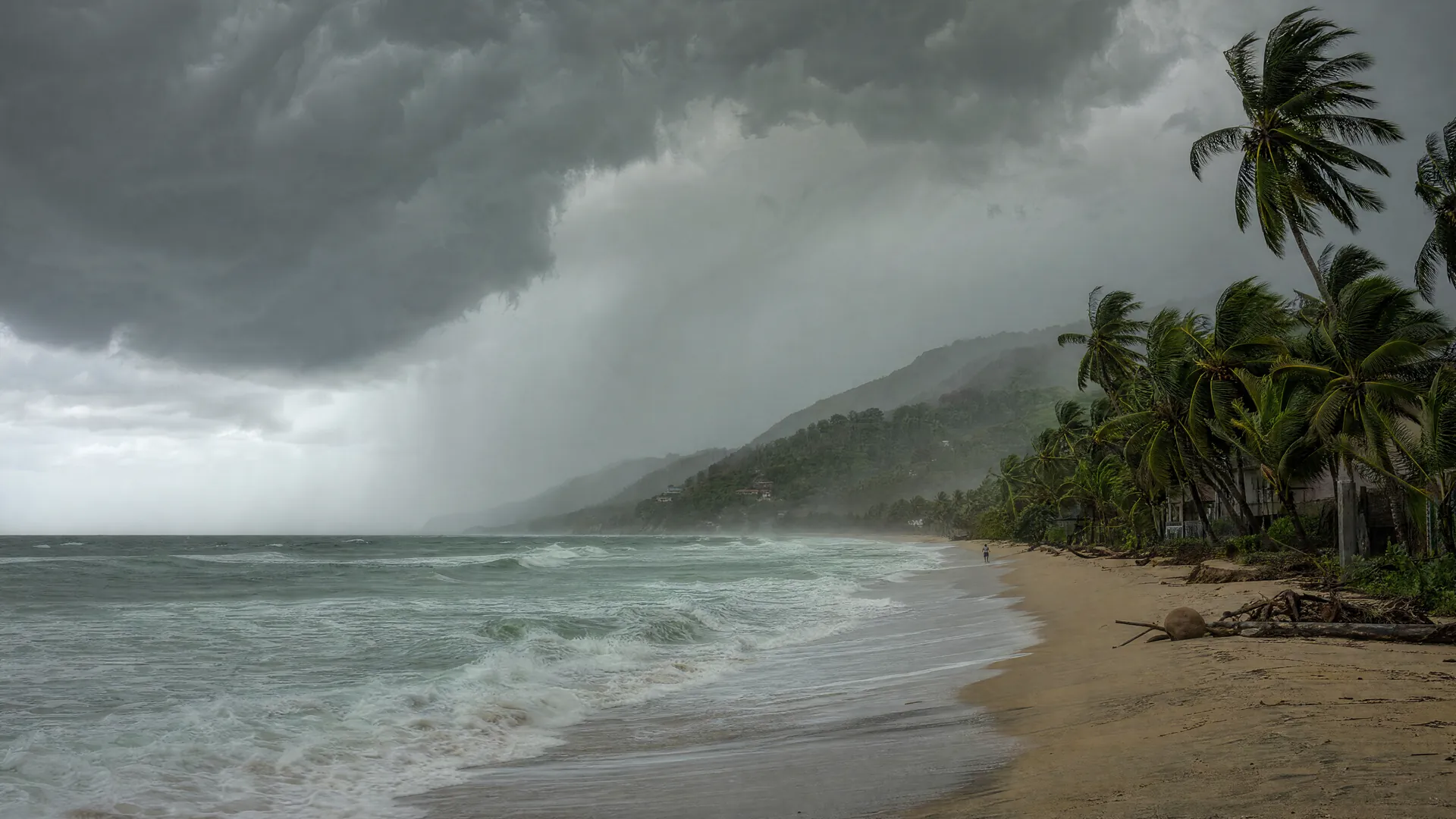 Dark storm clouds over an empty Pacific beach, with wind-bent palm trees, rough waves and rain veiling green coastal hills.